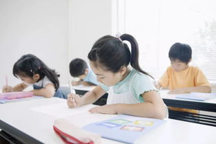 碧桂園·南大街 居于此，學(xué)府林立，人文氣韻涵養(yǎng)未來——從學(xué)前教育啟航